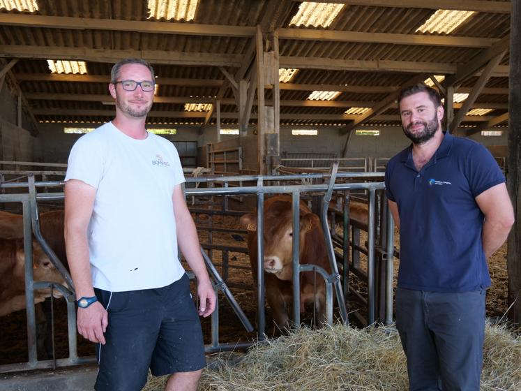 Jérémy Blaiteau, éleveur à Vezins, qui a vacciné son troupeau limousin contre la MHE et la FCO et Dr Nicolas Damas, le vétérinaire de l'élevage.