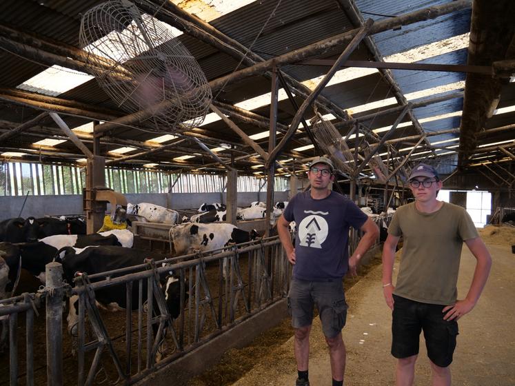 Didier Ouvrard et son apprenti dans le bâtiment des vaches laitières équipé de ventilateurs et d'une rampe de brumisation. Même avec tous ces dispositifs, il faisait déjà 33°C lundi dans le bâtiment, et le mercure est monté jusqu'à 43°C fin juin.