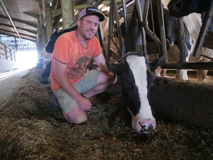 Jean-Louis Hamard, du Gaec de la Croix Brillet à Ombrée d'Anjou (Saint Michel et Chanveaux). En haut à droite, le séchage du foin en grange qui garantit une alimentation de qualité à ses vaches. 