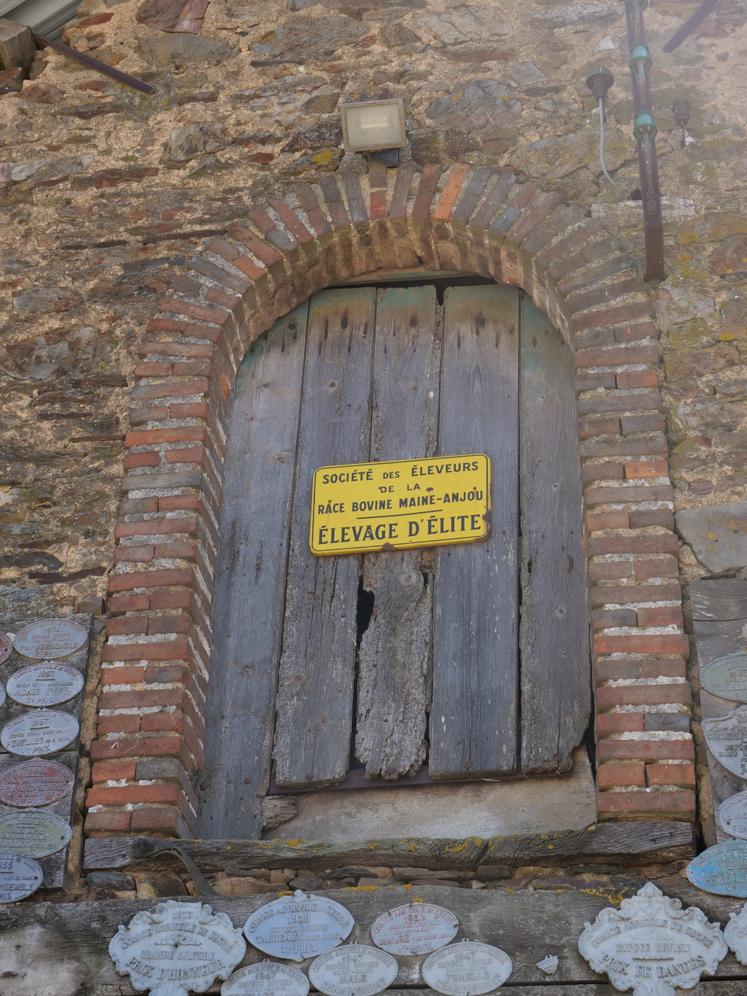 Des plaques témoignent du riche passé de l'élevage Douet, situé dans le berceau de la race Maine-Anjou, à présent rouge des prés. 