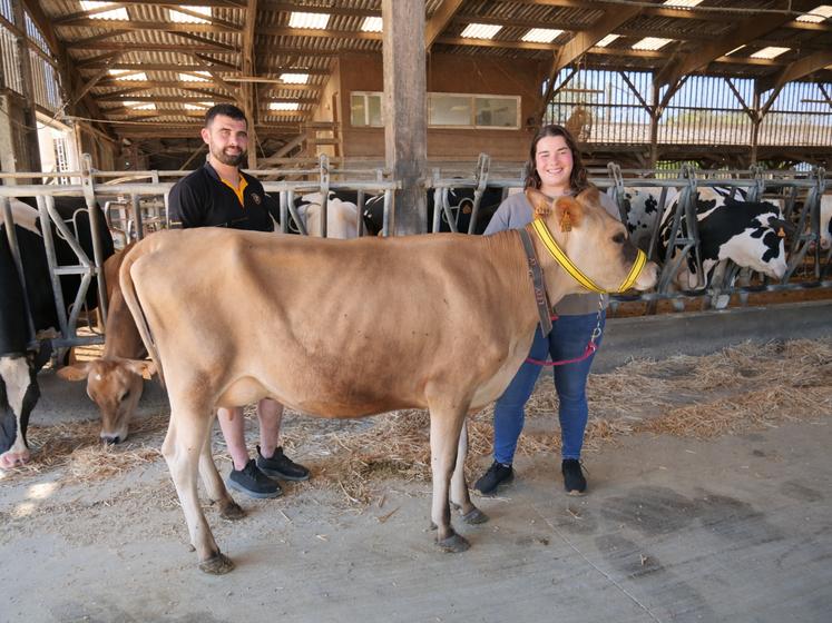 Vichy, une des vaches en première lactation de l'élevage. 