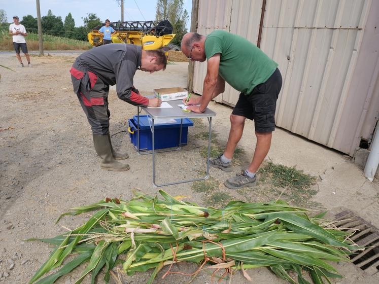 Les agriculteurs doivent identifier chacun des échantillons en indiquant la nature du sol, la variété de maïs et si la parcelle est irriguée.