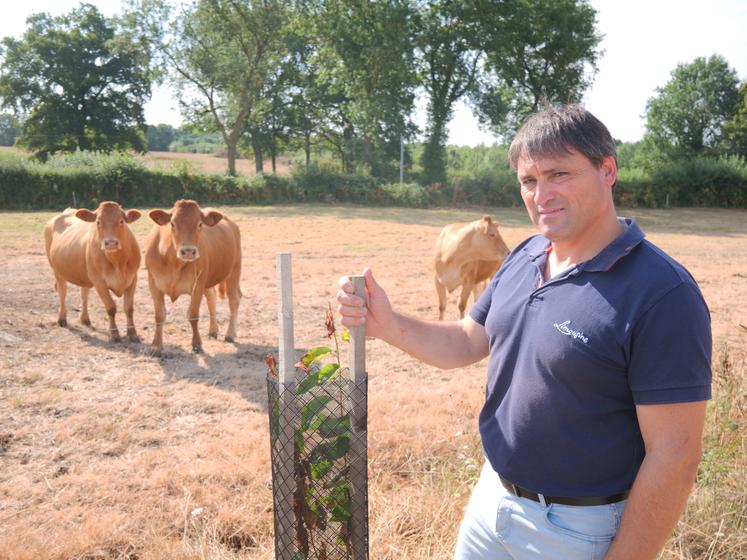 Hugues Lemesle, éleveur à Erdre en Anjou (La Pouëze). 