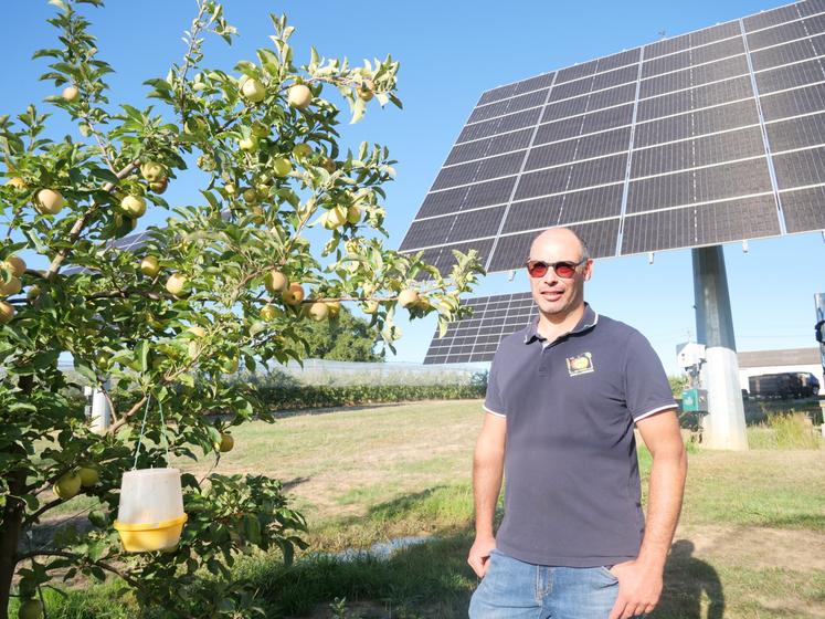 Albert Augereau, arboriculteur à Chemillé en Anjou, a fait installer des trackers solaires il y a 3 ans.