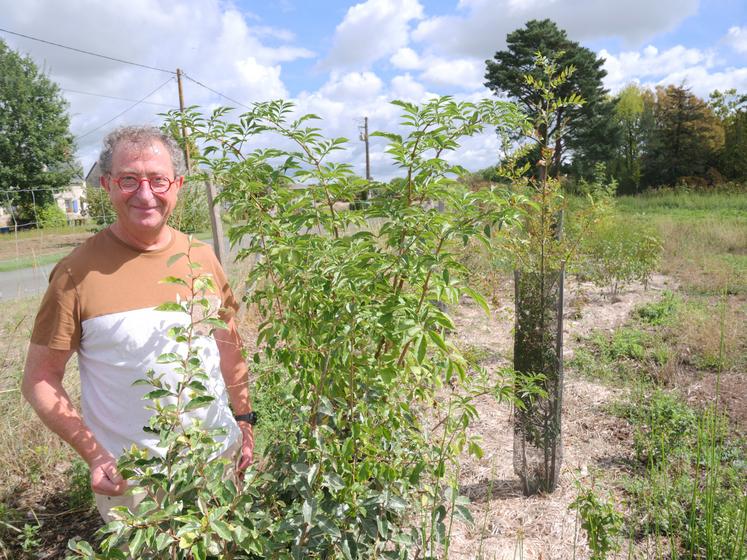 Frédéric Sérusier, du CNPH-Piverdière, devant une haie replantée en Végétal local. Des classes de CM1-CM2 de La Ménitré ont participé à la plantation. 