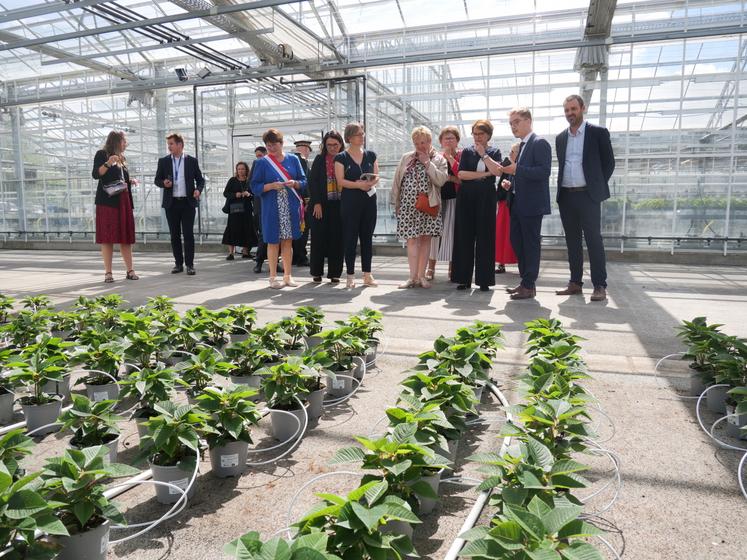La ministre de l'Agriculture a visité la serre Maine du lycée du Fresne qui abrite la production de poinsettia et l'aspirateur à ravageurs. Auparavant, elle avait rencontré les élèves, dont la première promotion de bachelor, guidée par Sylvie Richard, directrice du lycée.