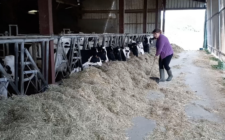 Extrait du film "Il est où le patron?", réalisé avec deux agricultrices angevines, qui sera présenté lors de l'exposition "Bellopatronnes". 