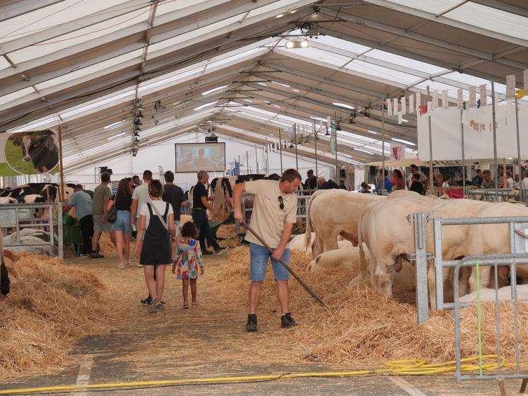 Dans les allées de Festi'élevage, les visiteurs côtoient les éleveurs.