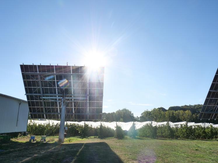Tels des tournesols, les trackers suivent le soleil au fil de la journée, effectuant une rotation de 3° toutes les 5 minutes