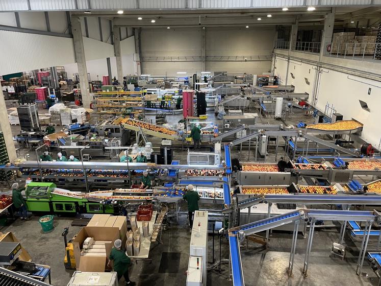 Les nouvelles lignes de conditionnement sont regroupées dans un espace de 5 000 m2.