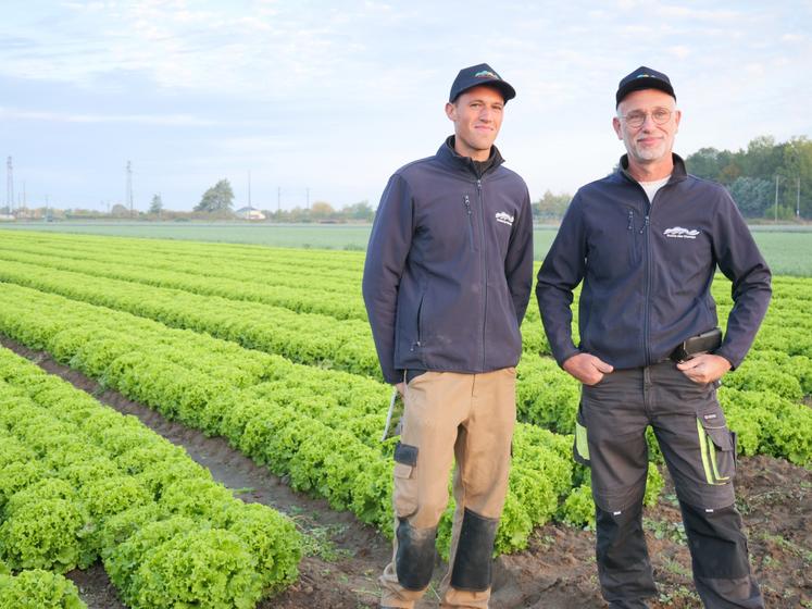 Elliott et Rodolphe Breau cultivent 40 ha de salades et disposent de 14 ha d'abris froids.