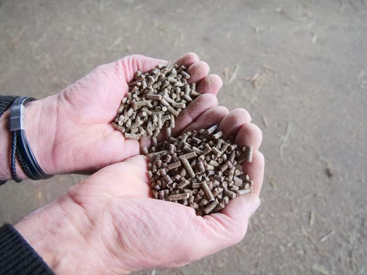 Deux types de concentrés sont intégrés dans la ration : l'un à base de tourteau de colza, l'autre avec des extraits de plantes, des vitamines et des minéraux.