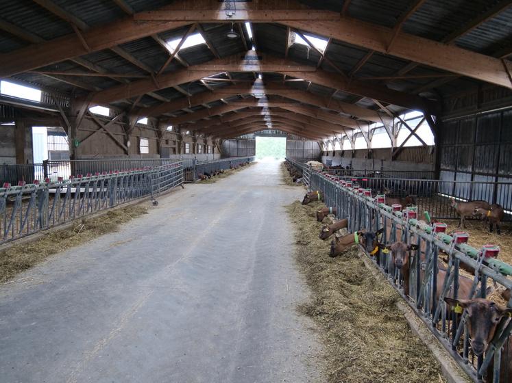 bâtiment chèvre gaec caprijour