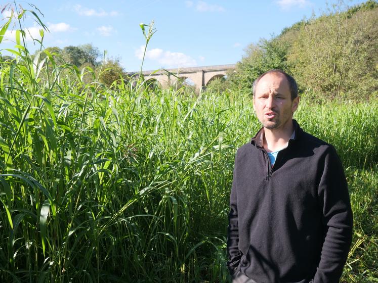 Olivier Guinebretière cultive chaque année 3,5 ha de sorgho. Cette année, il implanté un mélange de plusieurs variétés de sorgho multicoupe. 