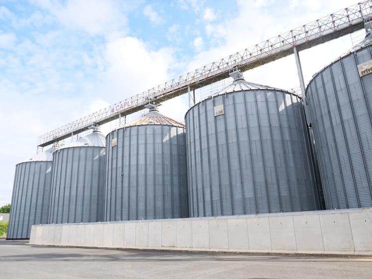 La CAPL a collecté entre 10 et 12 000 t de maïs grain sec en 2026, contre 70 000 t en 2024.