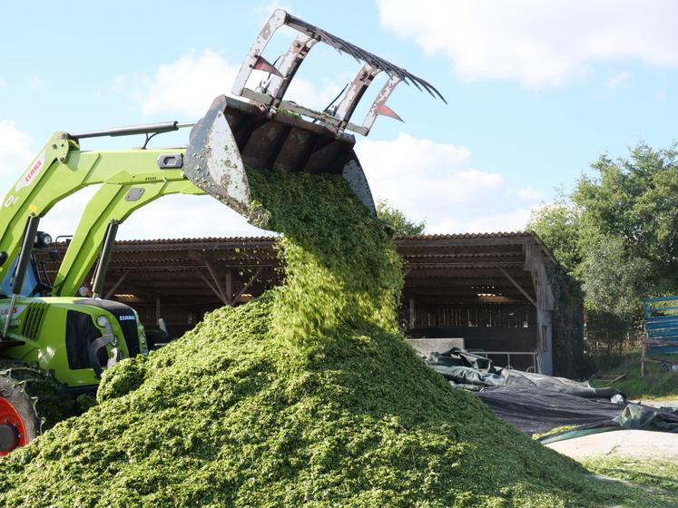 Le silo se remplit à l'EARL la Bouffée d'herbe. 
