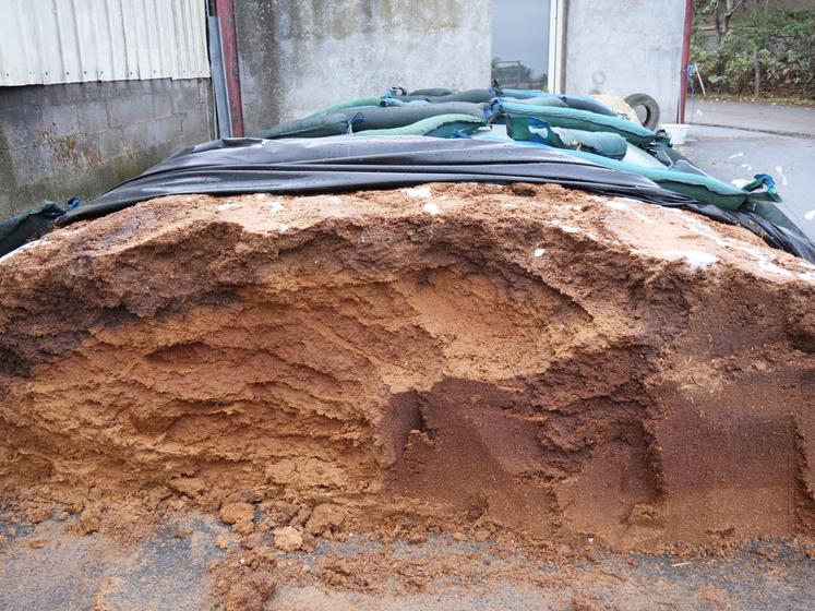 Le Gaec va acheter 3 camions de fibre de blé pour pallier le manque de fourrage. 