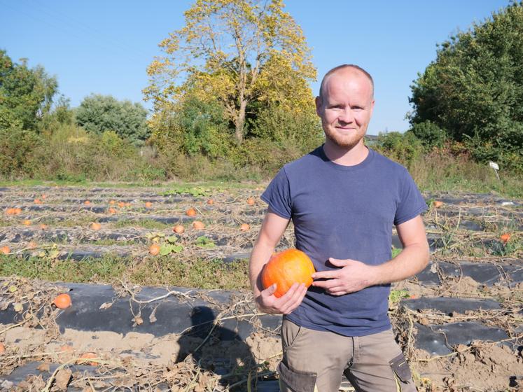 La récolte de courges va être maigre cette année chez Donovan Roland.