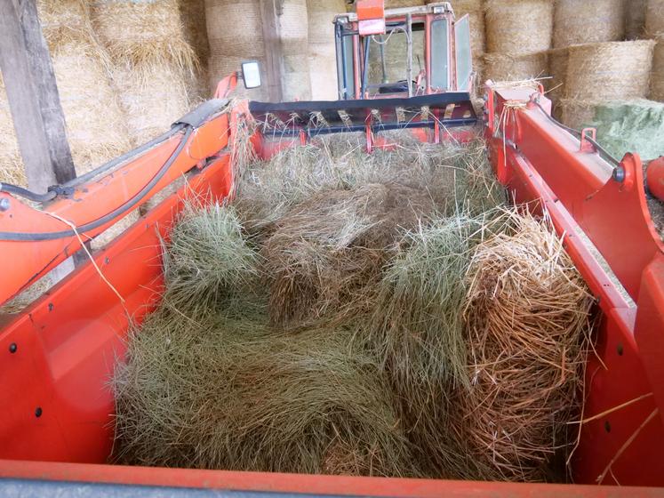 Les rations sont préparées puis distribuées avec la mélangeuse pailleuse.