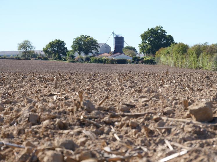Avec sa Faf implantée depuis plus de 20 ans, l'exploitation privilégie le lien au sol.