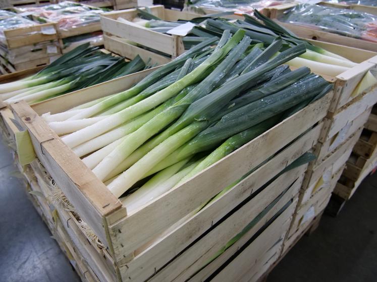 Les légumes bruts sont destinés à l'industrie, la grande distribution et la RHD.