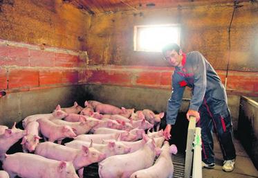 Pour Jean-Philippe Menant, le cours du porc doit prendre en compte la hausse des aliments.