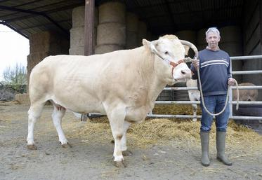 Patrick Lefort présente la vache Discrète au Concours général agricole (CGA) de la race blonde d’Aquitaine, qui se déroulera jeudi 2 mars après-midi. Elle sera présente tout au long du salon à Paris.