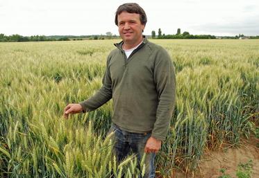 Michel Masse destine chaque année la paille de ses dix hectares de blé à un 
éleveur voisin.