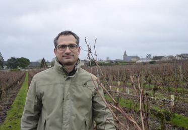 Guillaume Le Lay cultive 40 ha de vignes (Robert & Marcel), 70 ha de grandes cultures (Terrena) à Saint-Cyr-en-BOourg.