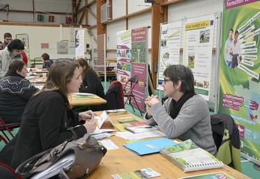 Sur la communauté de communes de Loire-Layon, 824 demandeurs d’emplois (sur 23 000 habitants) étaient recensés en décembre 2013.