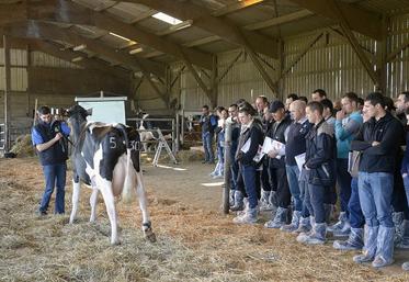 Plusieurs vaches à vêlages précoces de la ferme expérimentale ont été présentées.