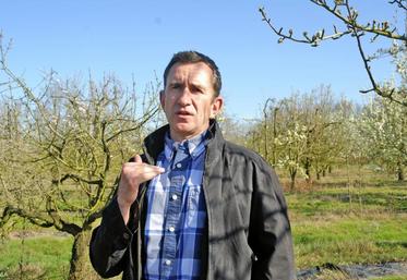 François Laurens, chercheur et coordinateur du projet Fruits Breedomics. Avec ce nouveau programme, Angers confirme sa place d’unité de référence au niveau mondial sur le pommier.