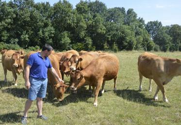 Sur l’exploitation d’Hugues Lemesle, à la Pouëze, environ 7 vaches et 3 veaux partent chaque année en vente directe. Le reste est commercialisé avec Bovinéo ou en tant que reproducteurs.