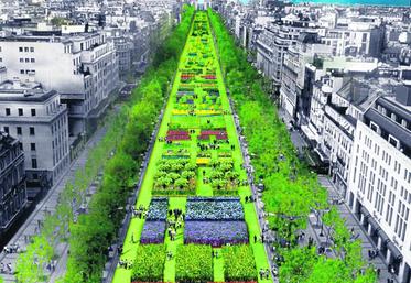 L'opération La Nature capitale occupera 1,2 km sur les Champs Élysées du 22 au 24 mai prochains.