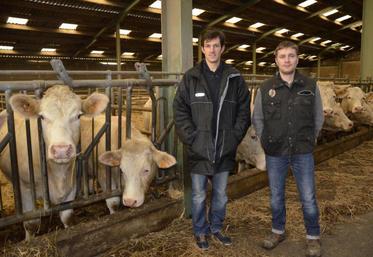 Benoit Caillault et Mickaël Jacquet, associés du Gaec de Prunay, ont ouvert les portes de leur exploitation dans le cadre des Rendez-vous de l’élevage viande.