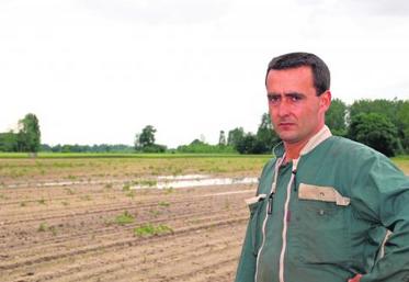 Le secteur de Longué-Jumelles a été particulièrement touché par l’orage du dimanche 1er juin. 
Pour Laurent Raimbault, « les parcelles semées en maïs ou en haricots sont quasiment perdues ».