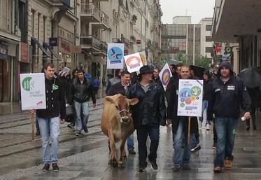 JA49 et leur vache Gadoue en ballade samedi 2 mai dans les rues d'Angers. Ici, rue d'Alsace.