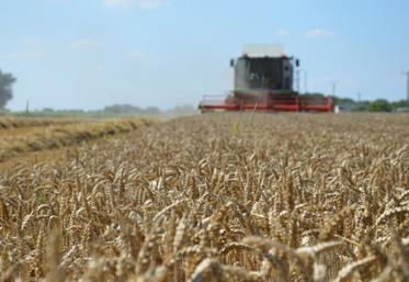Les producteurs de céréales sont eux-aussi appelés à manifester le 3 et le 7 septembre prochains.