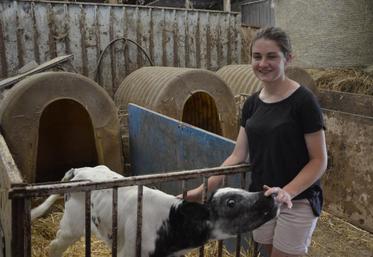 Elodie Vincent participera au concours de présentation en race prim'hosltein, au prochain Festi'élevage.