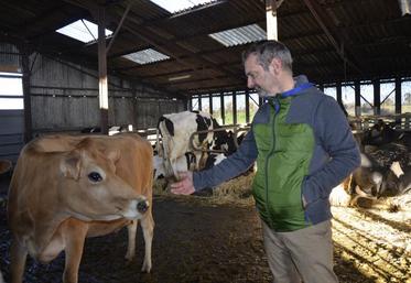 Pascal Gallard dans son élevage laitier.