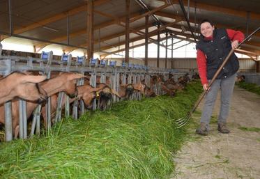 Installée depuis 2008 à l’EARL Chèvretheil, Jessica Delaunay a opté pour l’affouragement en vert pour son élevage de chèvres alpines.