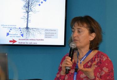 Nathalie Corroyer, de la Chambre régionale d’agriculture de Normandie, lors de la conférence intitulée “un projet sur les systèmes vergers-maraîchers” qui se déroulait jeudi 19 janvier au Sival.
