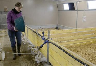 Elodie Lardeux, éleveuse en agriculture biologique à Aviré, dans le Maine-et-Loire.
