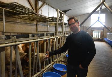 Luc Gelineau, éleveur de veaux de boucherie sur la commune de La Pouëze, dans son bâtiment de 410 places.