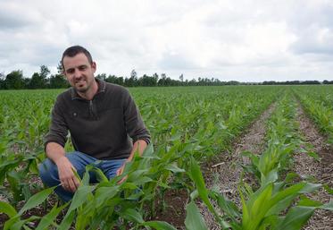 Denis Laizé, dans une parcelle de maïs conso semée au strip-till. L’agriculteur, en non labour, utilise surtout le glyphosate pour nettoyer le sol au moment du semis.