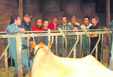 Une vingtaine de jeunes et d’éleveurs s’est retrouvée chez Bernard Gaborit pour une journée de formation animée par Philippe Derouet.