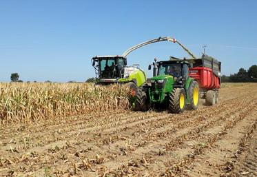 Ensilage des maïs au Gaec des 3 Erdres, à Angrie, vendredi 2 août.