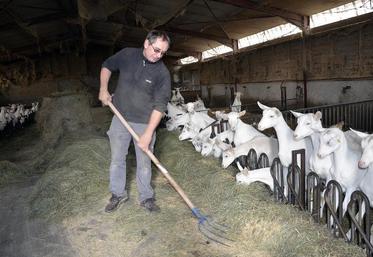 Aujourd’hui, Jean-Pascal Bonsergent a deux bâtiments de 200 chèvres.