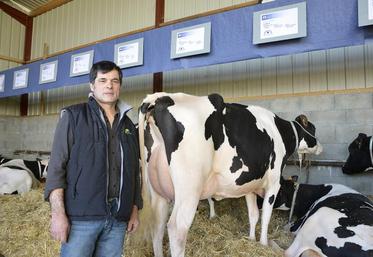 Pascal Vigneron, à côté de Grace. Cette vache va participer le 11 avril à un Challenge France à épinal.