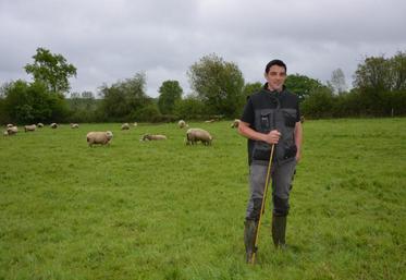 Morgan Mercier s'est installé en novembre 2016 à Marcé. à la Gallichère, les moutons ont remplacé les chèvres. Celles-ci allaient très peu au pâturage. L'herbe sur les prairies permanentes était très dégradée. « Après 3 années de pâturage, on est sur quelque chose de passable. »